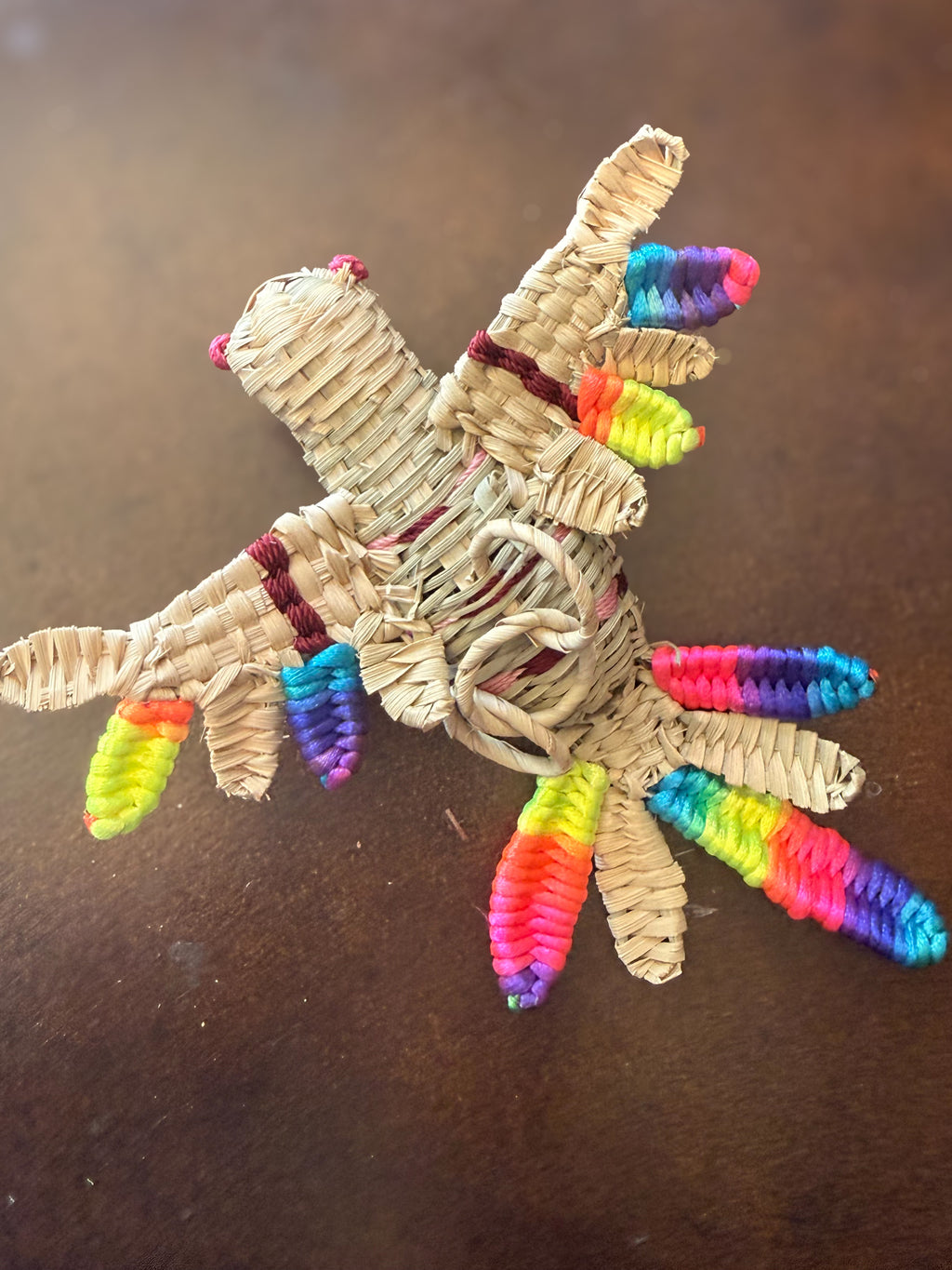 Hummingbird Of Many Colors