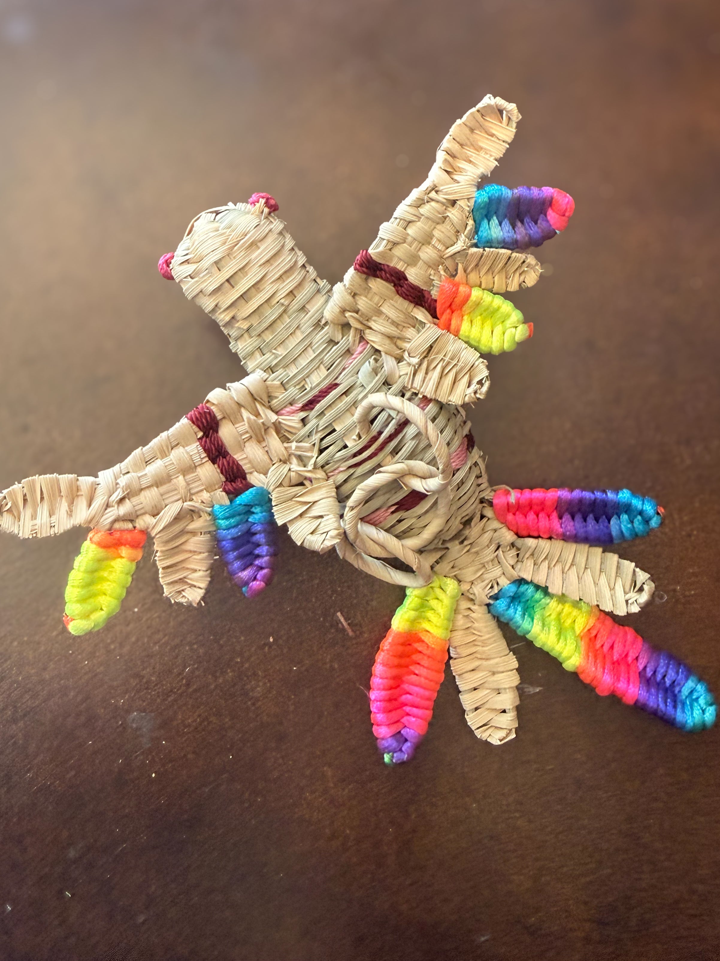Hummingbird Of Many Colors